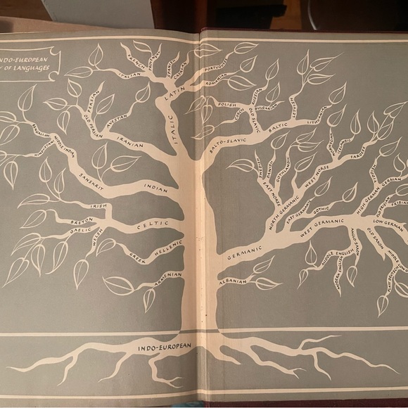 Webster’s New Twentieth Century Dictionary of the English Language Unabridged - Picture 10 of 16